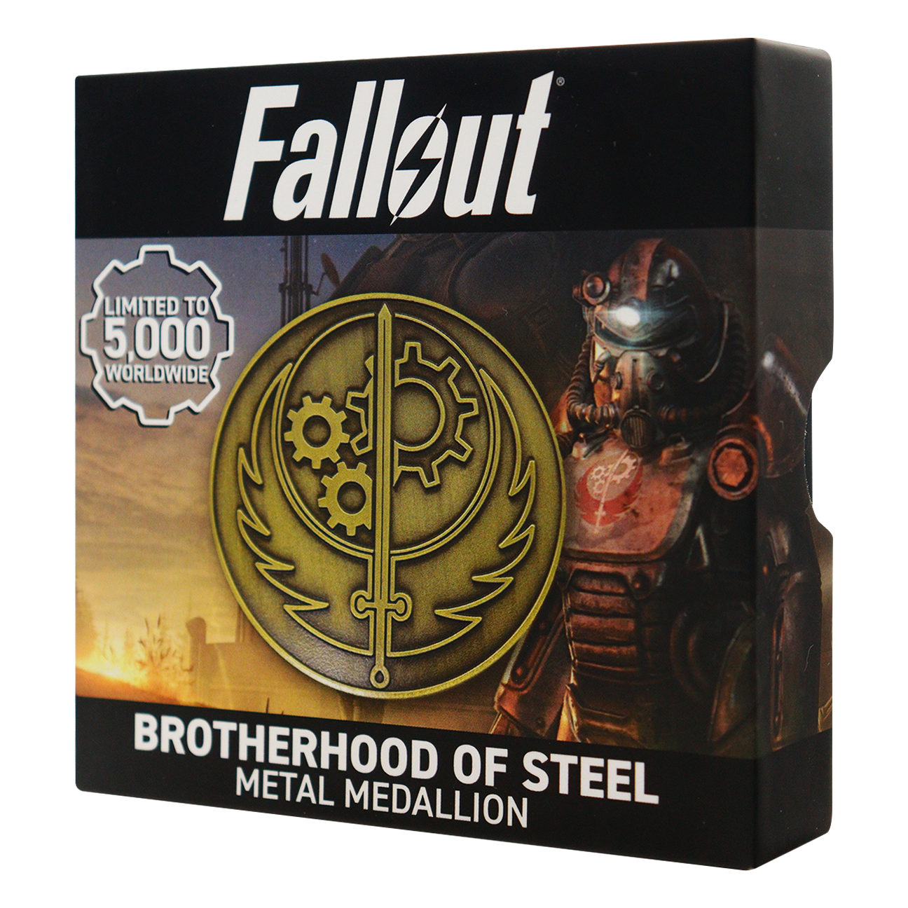 Fallout Brotherhood of Steel Medallion