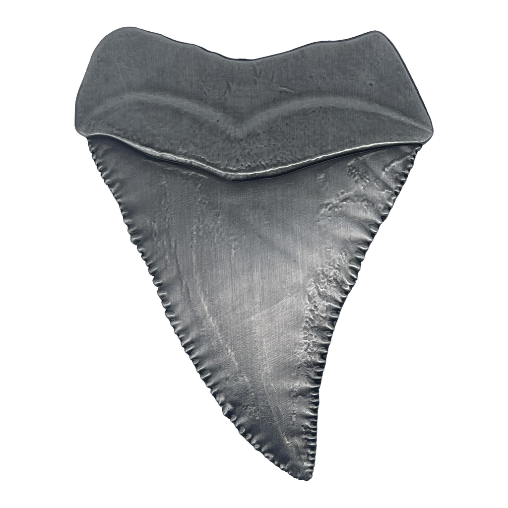 Jaws 50th Anniversary Shark Tooth Medallion-Limited Edition