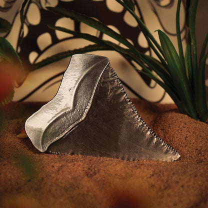 Jaws 50th Anniversary Shark Tooth Medallion-Limited Edition